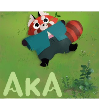 Aka Steam Key GLOBAL